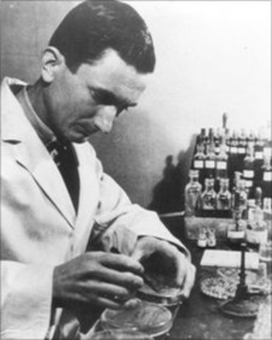 Florey and Norman Heatly went to the US with it