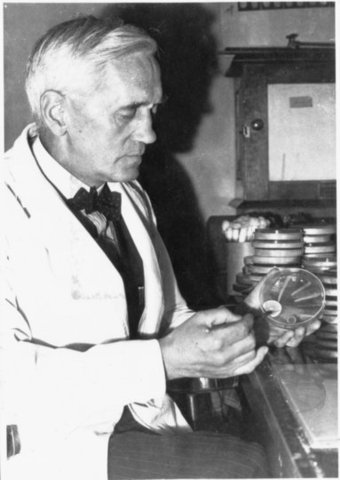 Andrew J Moyer and Heatly produced more penicillin