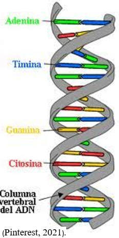 LA ENFERMEDAD Y LA SUPERSTICIÓN