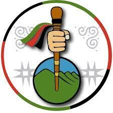 Resolución 002 de febrero de 2009