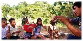 Cumbre de la Tierra de Río de Janeiro,