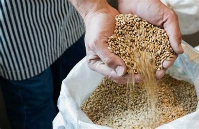 Razón de la enfermedad