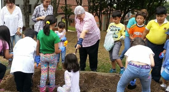 Educación ambiental en el siglo XXI