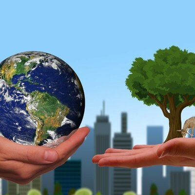 Timeline: Ecología integral