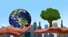 Timeline: Ecología integral