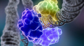 Timeline: History of enzymes