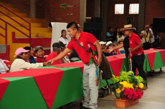 ARTÍCULO 329, Constitución políticas