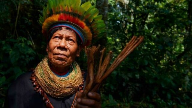 ARTÍCULO 321 Constitución políticas