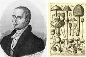 1729 1729 - MICHELLI INVESTIGACIÓN POR EXPERIMENTO