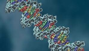 1958 1958 - AVANCES EN LA INGENIERÍA GENÉTICA