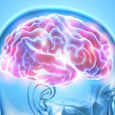 Timeline: Semiótica Social