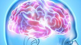 Timeline: Semiótica Social