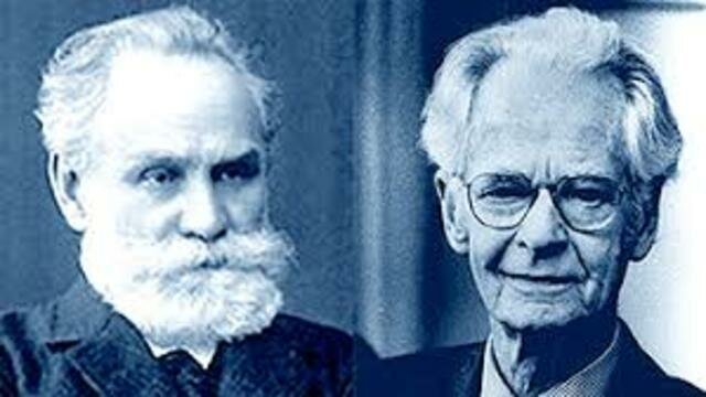 Perspectiva Conductual