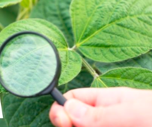 2021 Mónica Arteaga