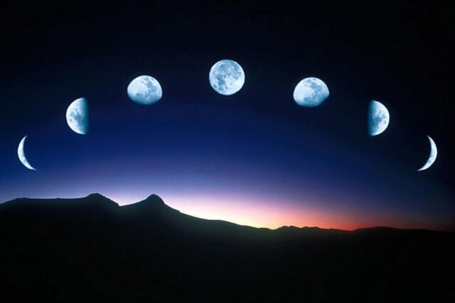 Teoría astral y su relación con plantas y personas