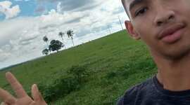 Timeline: Pedro Henrique de Freitas Martins Ferreira - mecanica