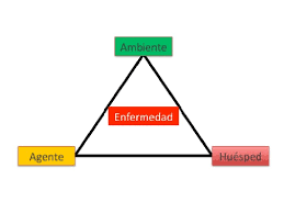 TRIANGULO EPIDEMIOLÓGICO