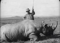 Teddy went off to Africa