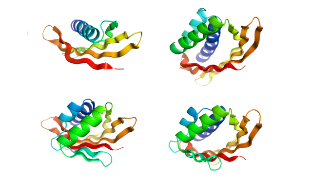 David Baker-Diseño de nuevas proteínas