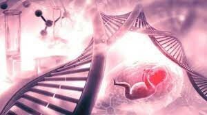 Yuk Ming Dennis Lo - El ADN de un feto