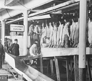 Federal Meat inspection act