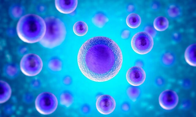 Grupo de expertos de la Universidad de California- Células transparentes