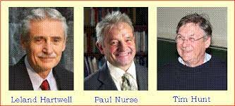 estudios de Nurse y otros (Nobel 2001