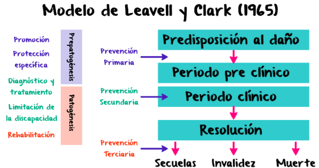 Historia Natural de la Enfermedad y Teoría de la Prevención