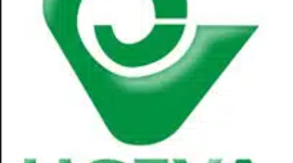 Timeline: Línea del tiempo Uceva