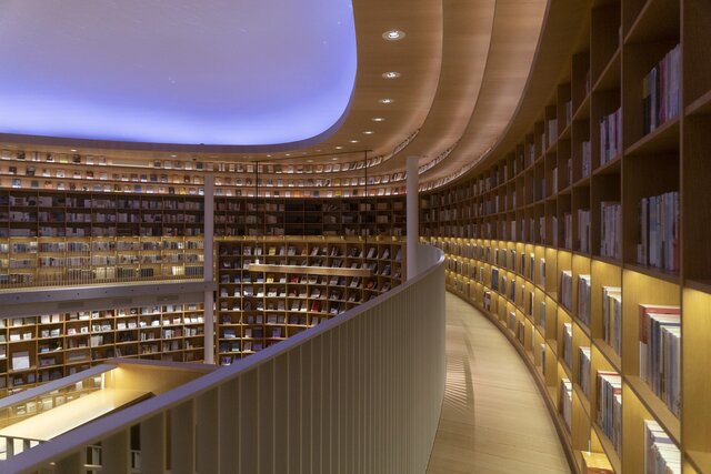 Urdaneta: la biblioteca como segmento de la red de comunicación