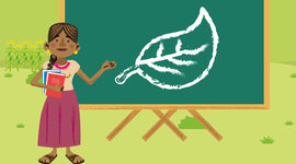 Timeline: ANTECEDENTES PROYECTO EDUCATIVO COMUNITARIO