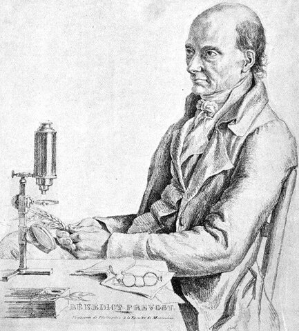 la teoria microbiana sin pasteur y koch