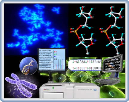 Inicio de la Bioinformática