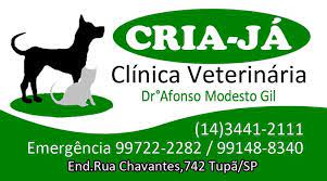 Linha do Tempo - José Carlos