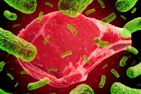 Relación entre microorganismos y enfermedades infecciosas