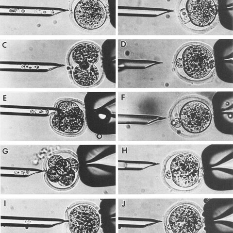 James Mc Grath y Davor Solter