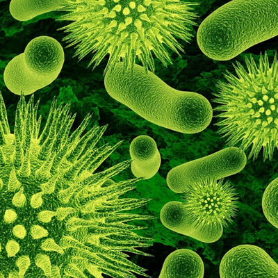 Timeline: Historia de los conceptos entre causa y enfermedad: paralelismo entre la medicina y la fitopatología