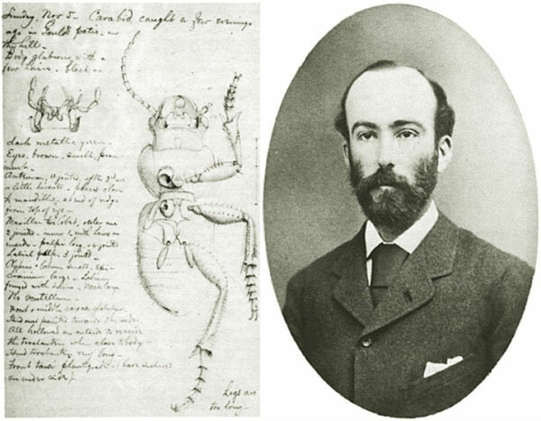 William Morris Davis