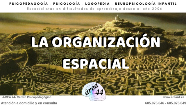 3.2 Organización espacial