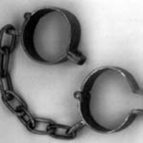 Spain brought Africans