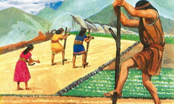 Produccion Comunitaria Inca