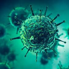 Clasificación de enfermedades infecciosas