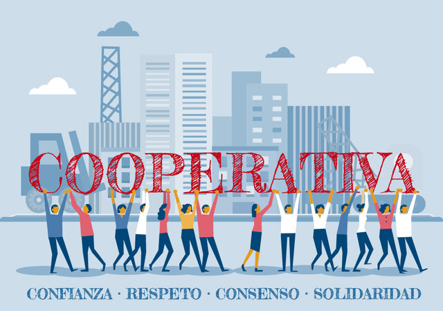 2009 Cooperativas