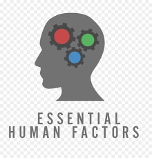 Factores humanos y ergonomía