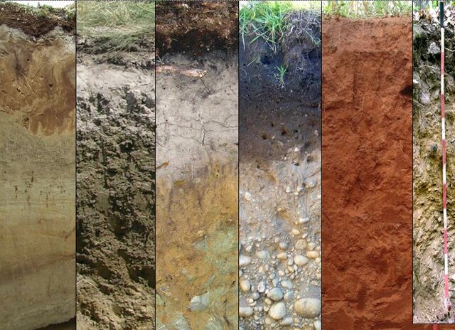 Почвоведение