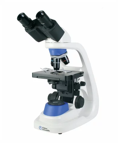 EL MICROSCOPIO COMPUESTO