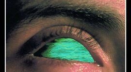 Timeline: Historia dentro de la novela de mi vida 2002