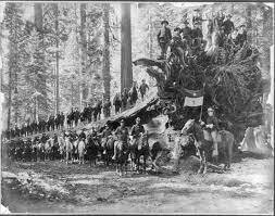 1916 National Park Service