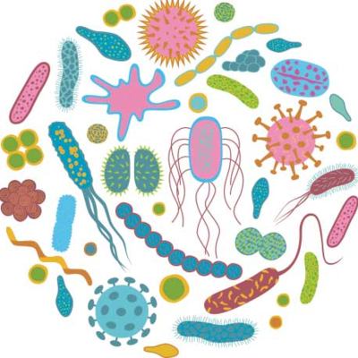 Timeline: LÍNEA DEL TIEMPO-HISTORIA DE LA BIOLOGÍA