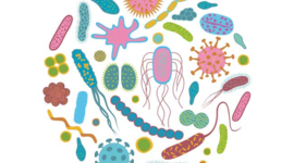 Timeline: LÍNEA DEL TIEMPO-HISTORIA DE LA BIOLOGÍA